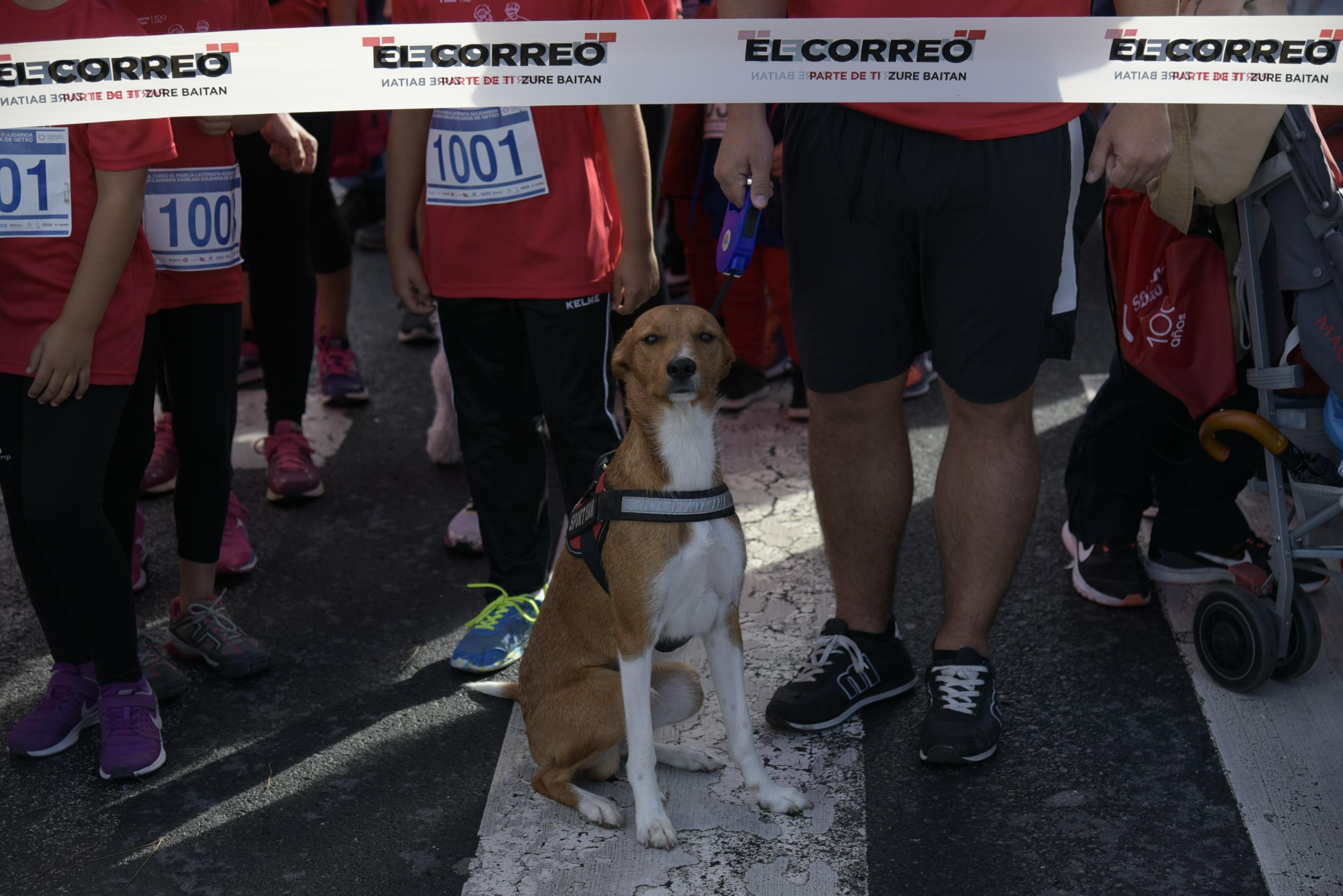 Foto 200 de la Carrera Familiar de Getxo 2018